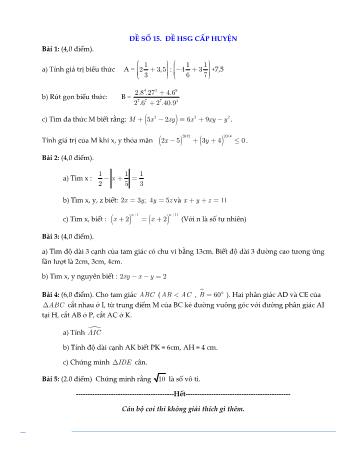 Đề kiểm tra học sinh giỏi cấp huyện môn Toán Lớp 7 - Năm học 2015-2016 - Huyện Đức Phổ - Đề số 15 (Có đáp án)