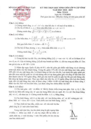 Đề thi chọn học sinh giỏi Lớp 9 THCS cấp tỉnh năm học 2018-2019 môn Toán - Sở giáo dục và đào tạo tỉnh Đồng Tháp (Có đáp án)