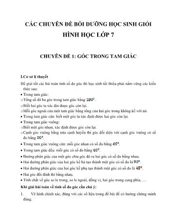 Các Chuyên đề bồi dưỡng học sinh giỏi Hình học Lớp 7