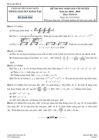 Đề thi học sinh giỏi cấp huyện năm học 2018-2019 môn Toán Lớp 9 - Lê Hồng Quốc