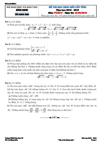 Đề thi học sinh giỏi cấp tỉnh năm học 2018-2019 môn Toán Lớp 9 - Sở giáo dục và đào tạo Bình Định (Có đáp án)