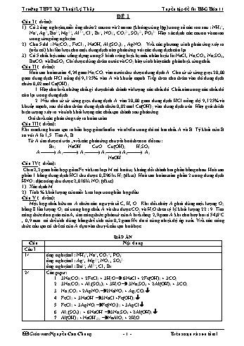 Tuyển tập đề thi học sinh giỏi môn Hóa học Lớp 11 - Trường THPT kỹ thuật Lệ Thủy - Nguyễn Cao Chung (Có đáp án)