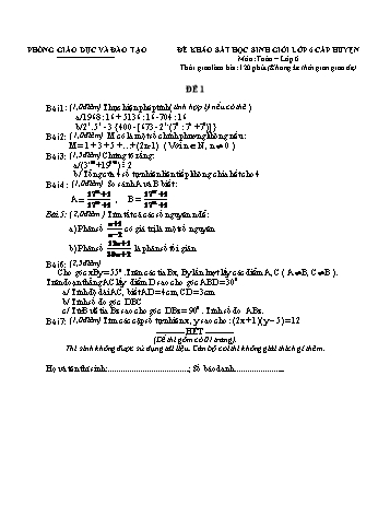 Đề khảo sát học sinh giỏi cấp huyện Toán Lớp 6 - Đề 1 (Có hướng dẫn chấm)