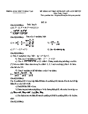 Đề khảo sát học sinh giỏi cấp huyện Toán Lớp 6 - Đề 10 (Có hướng dẫn chấm)