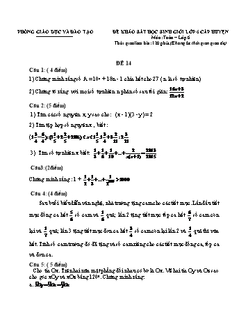 Đề khảo sát học sinh giỏi cấp huyện Toán Lớp 6 - Đề 14 (Có hướng dẫn chấm)