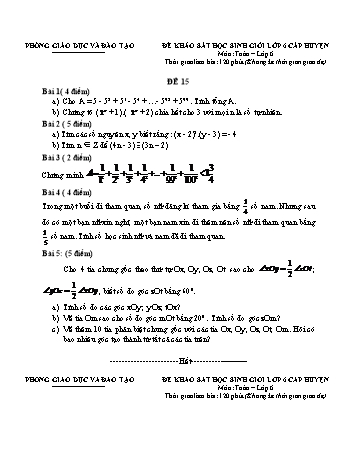 Đề khảo sát học sinh giỏi cấp huyện Toán Lớp 6 - Đề 15 (Có hướng dẫn chấm)