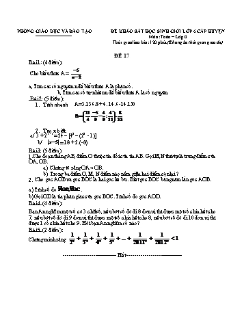 Đề khảo sát học sinh giỏi cấp huyện Toán Lớp 6 - Đề 17 (Có hướng dẫn chấm)