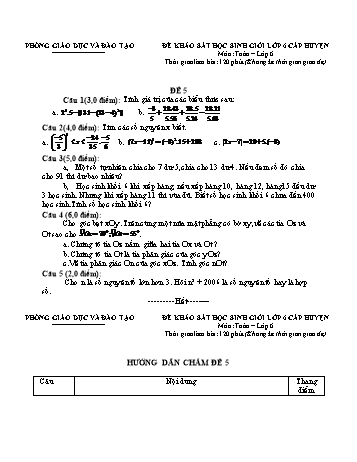 Đề khảo sát học sinh giỏi cấp huyện Toán Lớp 6 - Đề 5 (Có hướng dẫn chấm)