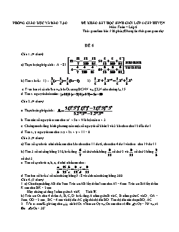Đề khảo sát học sinh giỏi cấp huyện Toán Lớp 6 - Đề 6 (Có hướng dẫn chấm)