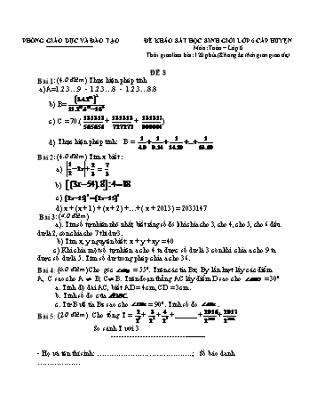 Đề khảo sát học sinh giỏi cấp huyện Toán Lớp 6 - Đề 8 (Có hướng dẫn chấm)