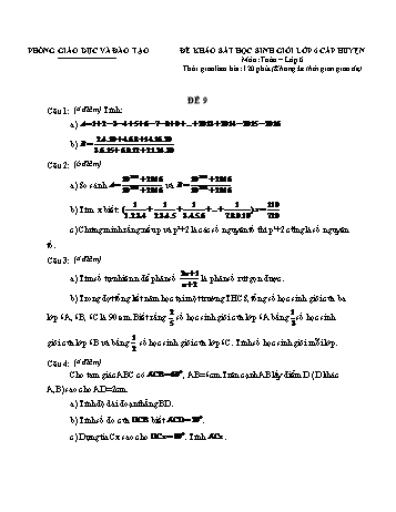 Đề khảo sát học sinh giỏi cấp huyện Toán Lớp 6 - Đề 9 (Có hướng dẫn chấm)