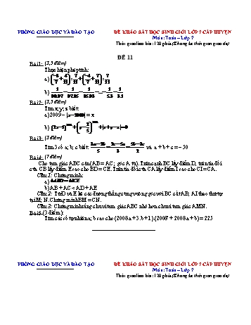 Đề khảo sát học sinh giỏi cấp huyện Toán Lớp 7 - Đề 11 (Có hướng dẫn chấm)