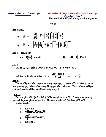 Đề khảo sát học sinh giỏi cấp huyện Toán Lớp 7 - Đề 12 (Có hướng dẫn chấm)