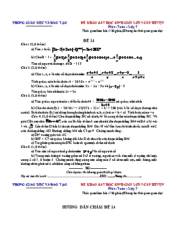 Đề khảo sát học sinh giỏi cấp huyện Toán Lớp 7 - Đề 14 (Có hướng dẫn chấm)