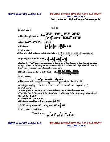 Đề khảo sát học sinh giỏi cấp huyện Toán Lớp 7 - Đề 19 (Có hướng dẫn chấm)