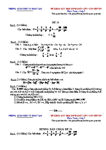 Đề khảo sát học sinh giỏi cấp huyện Toán Lớp 7 - Đề 20 (Có hướng dẫn chấm)