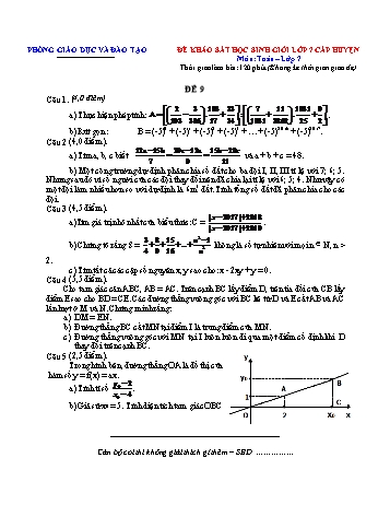 Đề khảo sát học sinh giỏi cấp huyện Toán Lớp 7 - Đề 9 (Có hướng dẫn chấm)