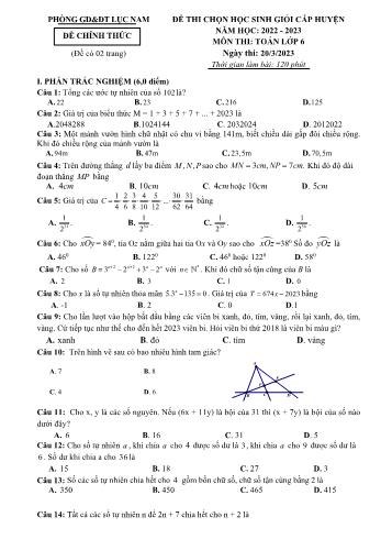 Đề thi chọn học sinh giỏi cấp huyện Toán Lớp 6 - Năm học 2022-2023 - Phòng GD&ĐT Lục Nam (Có hướng dẫn chấm)