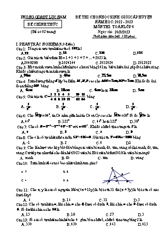 Đề thi chọn học sinh giỏi cấp huyện Toán Lớp 6 - Năm học 2022-2023 - Phòng GF&ĐT Lục Nam (Có hướng dẫn chấm)