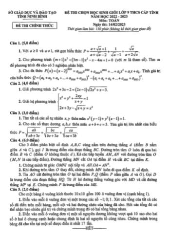 Đề thi chọn học sinh giỏi cấp tỉnh Toán Lớp 9 - Năm học 2022-2023 - Sở GD&ĐT Ninh Bình (Có đáp án)
