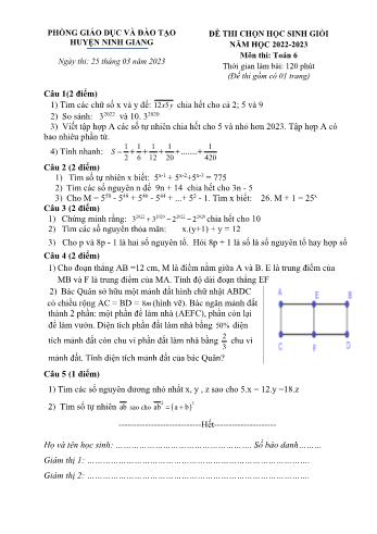 Đề thi chọn học sinh giỏi Toán Lớp 6 - Năm học 2022-2023 - Phòng GD&ĐT Ninh Giang (Có hướng dẫn chấm)