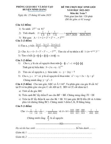 Đề thi chọn học sinh giỏi Toán Lớp 7 - Năm học 2022-2023 - Phòng GD&ĐT Ninh Giang (Có hướng dẫn chấm)