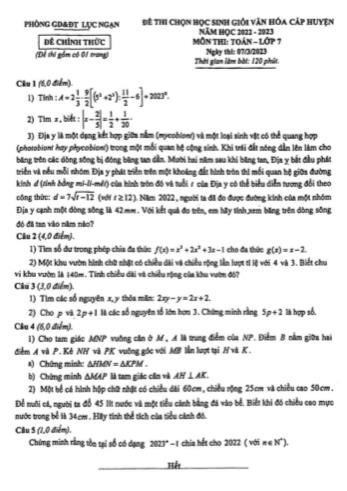 Đề thi chọn học sinh giỏi văn hóa cấp huyện Toán Lớp 7 - Năm học 20222-2023 - Phòng GD&ĐT Lục Ngạn