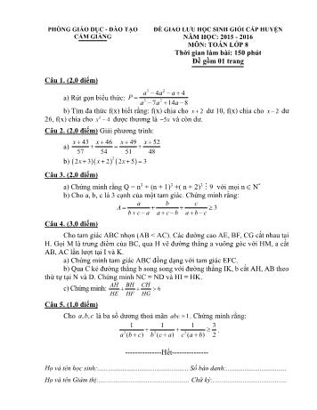 Đề giao lưu học sinh giỏi cấp huyện môn Toán Lớp 8 - Năm học 2015-2015 - Phòng GD và ĐT Cẩm Giàng (Có đáp án)