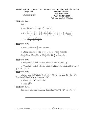 Đề thi chọn học sinh giỏi cấp huyện môn Toán Lớp 7 - Năm học 2013-2014 - Phòng GD và ĐT Việt Yên (Có đáp án)