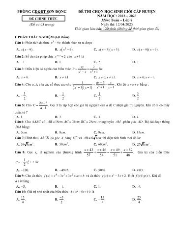 Đề thi chọn học sinh giỏi cấp huyện môn Toán Lớp 8 - Năm học 2022-2023 - Phòng GD và ĐT Sơn Động (Có đáp án)