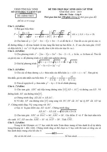 Đề thi chọn học sinh giỏi cấp tỉnh môn Toán Lớp 9 - Năm học 2018-2019 - Sở GD và ĐT Bắc Ninh (Có đáp án)