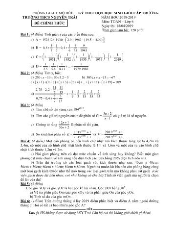 Đề thi chọn học sinh giỏi cấp trường môn Toán Lớp 6 - Năm học 2018-2019 - Trường THCS Nguyễn Trãi (Có đáp án)