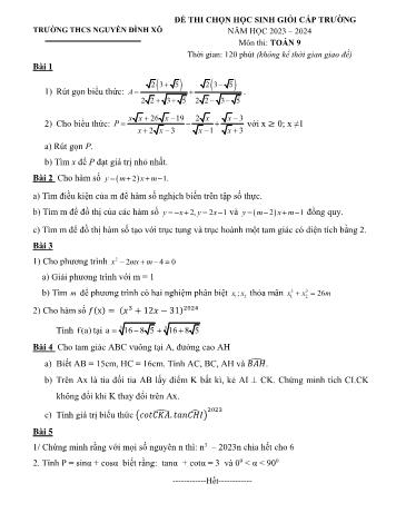 Đề thi chọn học sinh giỏi cấp trường môn Toán Lớp 9 - Năm học 2023-2024 - Trường THCS Nguyễn Đình Xô
