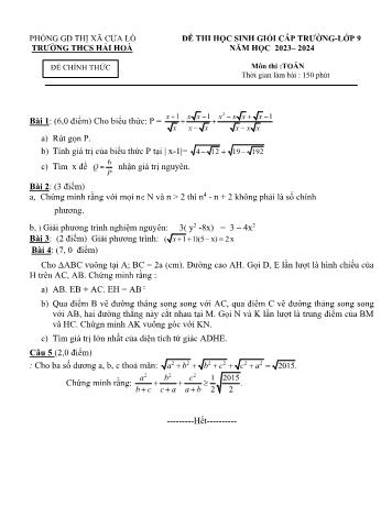 Đề thi học sinh giỏi cấp trường môn Toán Lớp 9 - Năm học 2023-2024 - Trường THCS Hải Hòa (Có đáp án)