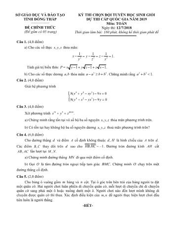 Đề thi chọn đội tuyển dự thi học sinh giỏi Quốc gia môn Toán Lớp 12 năm 2019 - Sở GD và ĐT Đồng Tháp (Có đáp án)