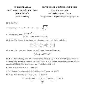Đề thi chọn đội tuyển học sinh giỏi vòng 1 môn Toán Lớp 12 - Năm học 2020-2021 - Trường THPT chuyên Nguyễn Du