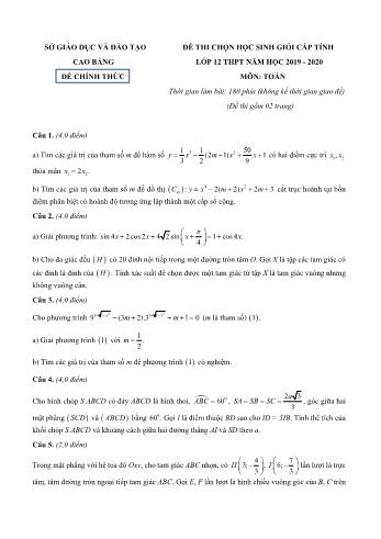 Đề thi chọn học sinh giỏi cấp tỉnh môn Toán Lớp 12 - Năm học 2019-2020 - Sở GD và ĐT Cao Bằng