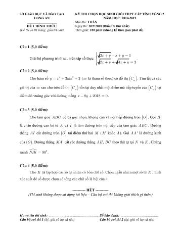 Đề thi chọn học sinh giỏi cấp tỉnh vòng 2 môn Toán Lớp 12 - Năm học 2018-2019 - Sở GD và ĐT Long An (Có đáp án)