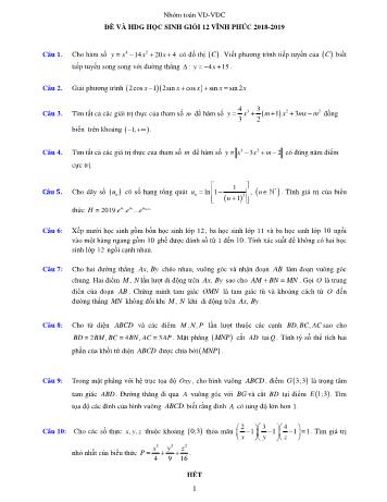 Đề thi chọn học sinh giỏi môn Toán Lớp 12 - Năm học 2018-2019 - Sở GD và ĐT Vĩnh Phúc (Có đáp án)