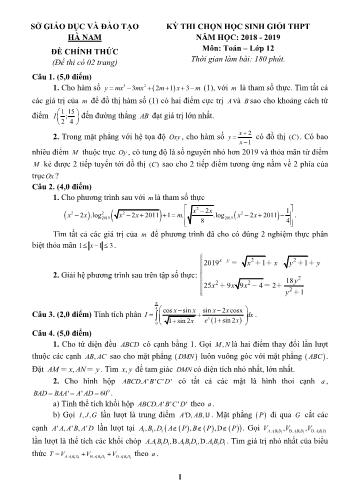 Đề thi chọn học sinh giỏi môn Toán Lớp 12 - Năm học 2018-2019 - Sở GD và ĐT Hà Nam