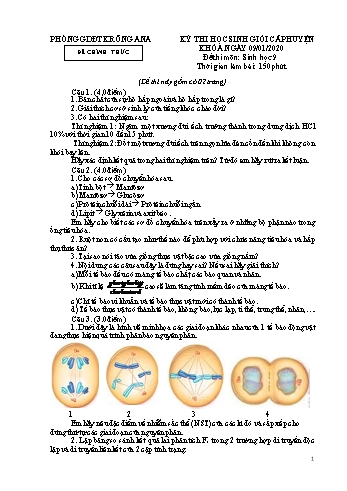 Đề thi học sinh giỏi cấp huyện môn Sinh học Lớp 9 - Năm học 2019-2020 - Phòng GD và ĐT Krông Ana (Có đáp án)