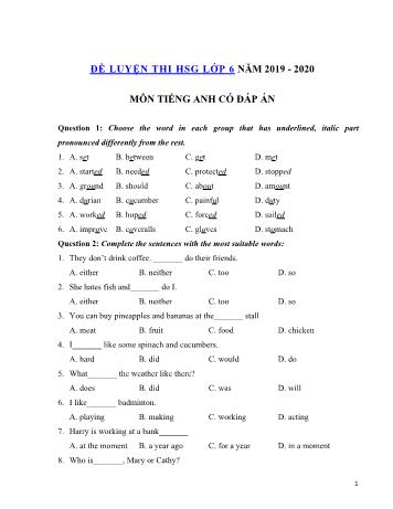 Đề luyện thi học sinh giỏi môn Tiếng Anh Lớp 6 - Đề số 5 - Năm học 2019-2020 (Có đáp án)
