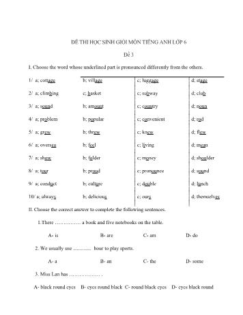 Đề thi học sinh giỏi môn Tiếng Anh Lớp 6 - Đề 3 - Năm học 2018-2019 (Có đáp án)