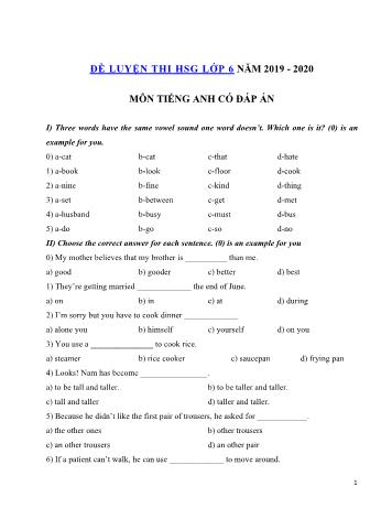 Đề thi thử chọn học sinh giỏi môn Tiếng Anh Lớp 6 - Đề số 2 - Năm học 2019-2020 (Có đáp án)
