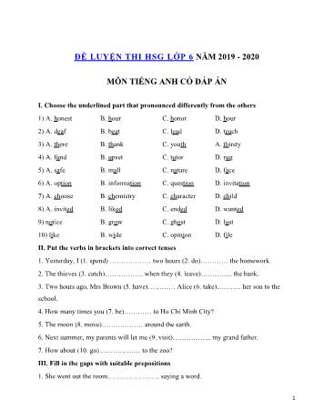 Đề thi thử chọn học sinh giỏi môn Tiếng Anh Lớp 6 - Đề số 5 - Năm học 2019-2020 (Có đáp án)