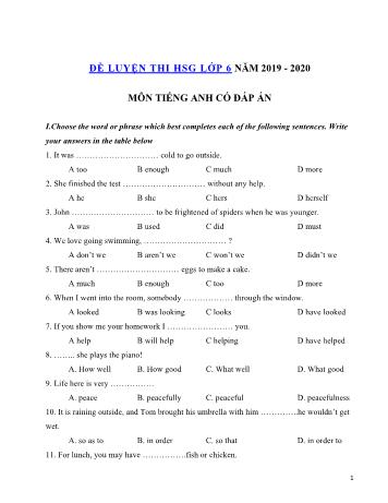 Đề thi thử chọn học sinh giỏi môn Tiếng Anh Lớp 6 - Đề số 8 - Năm học 2019-2020 (Có đáp án)